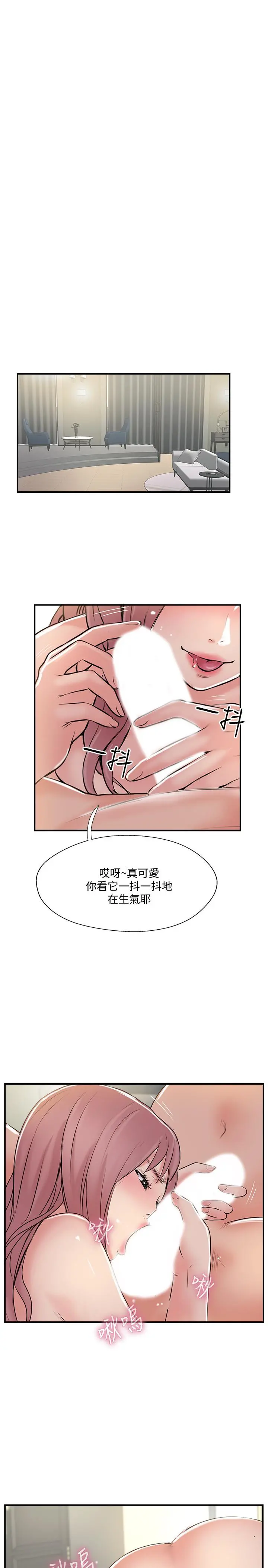 完美新伴侣