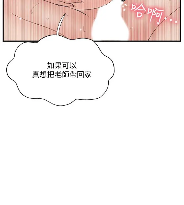 完美新伴侣