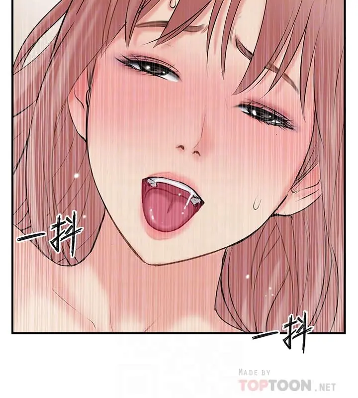 完美新伴侣