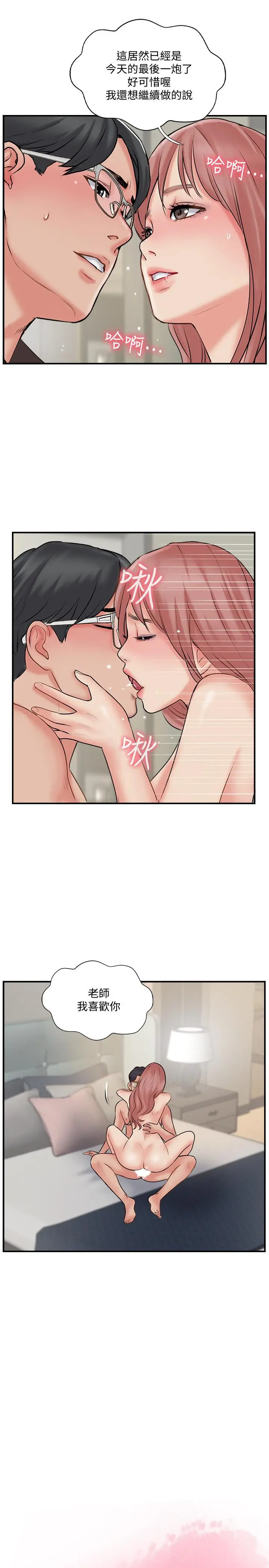 完美新伴侣
