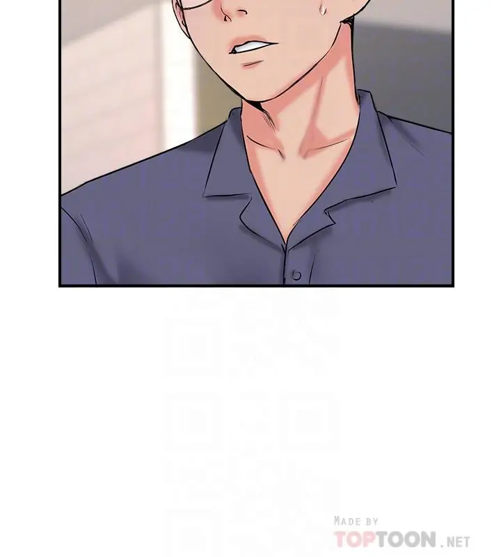 完美新伴侣