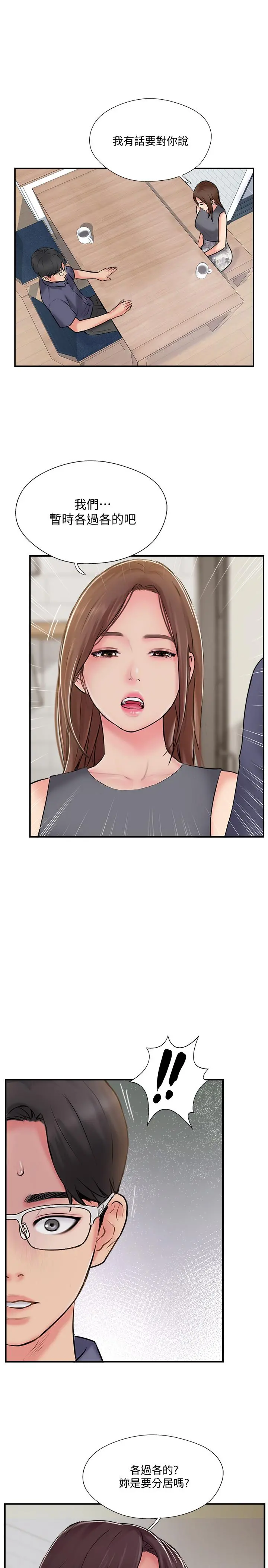 完美新伴侣
