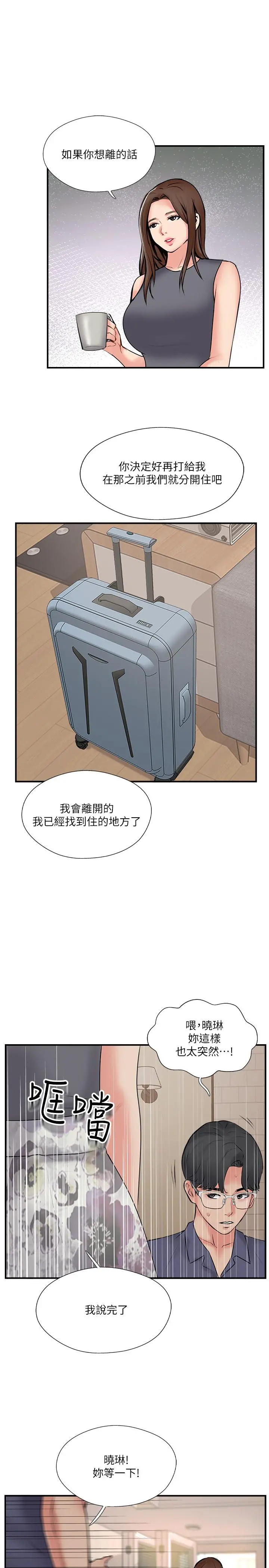 完美新伴侣