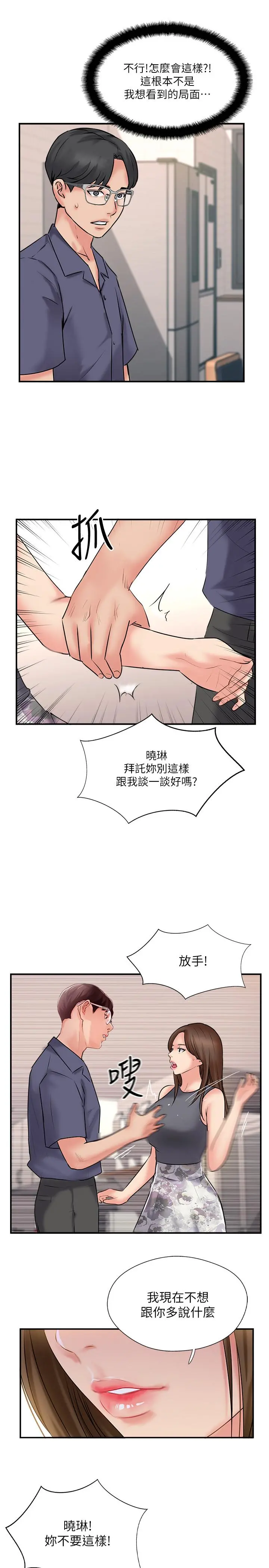 完美新伴侣