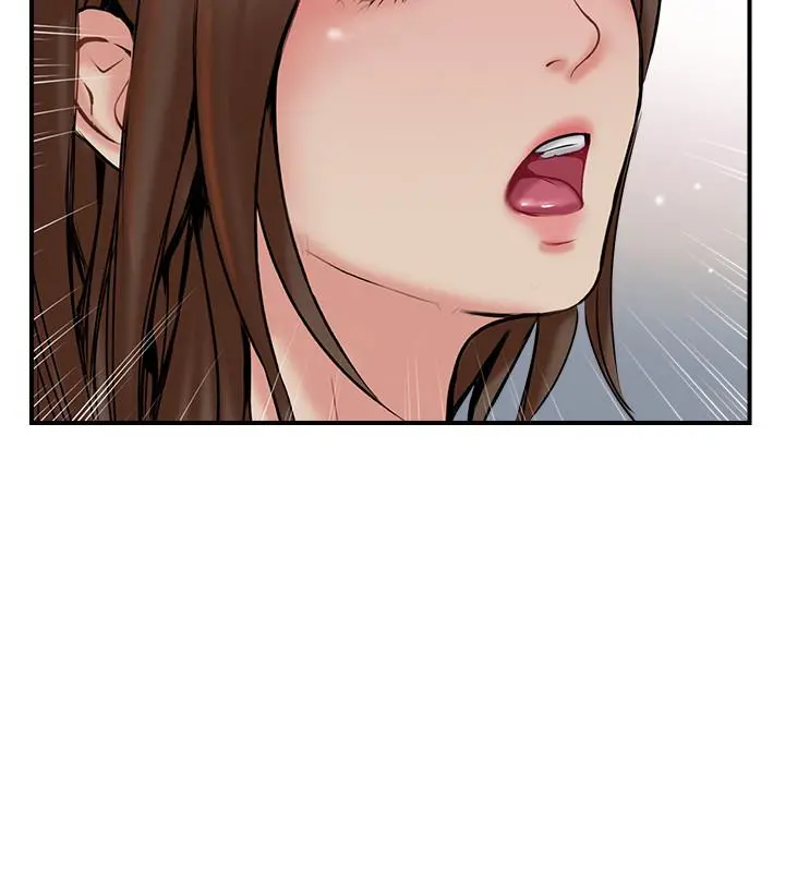 完美新伴侣