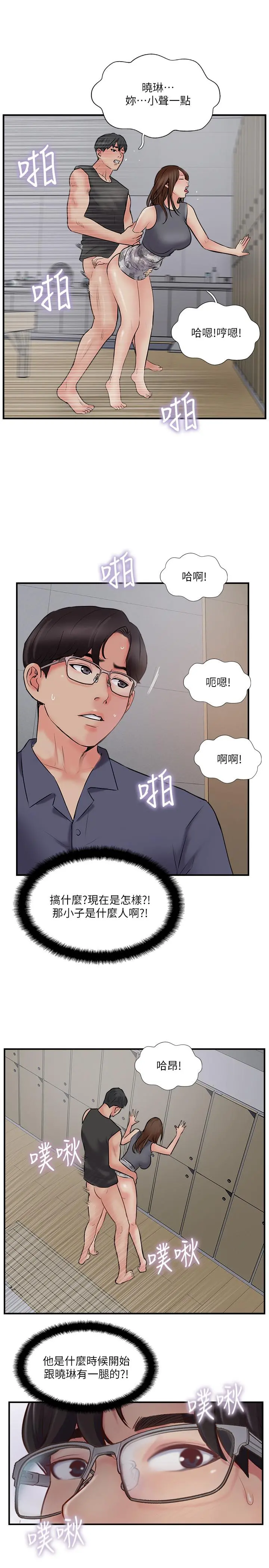 完美新伴侣