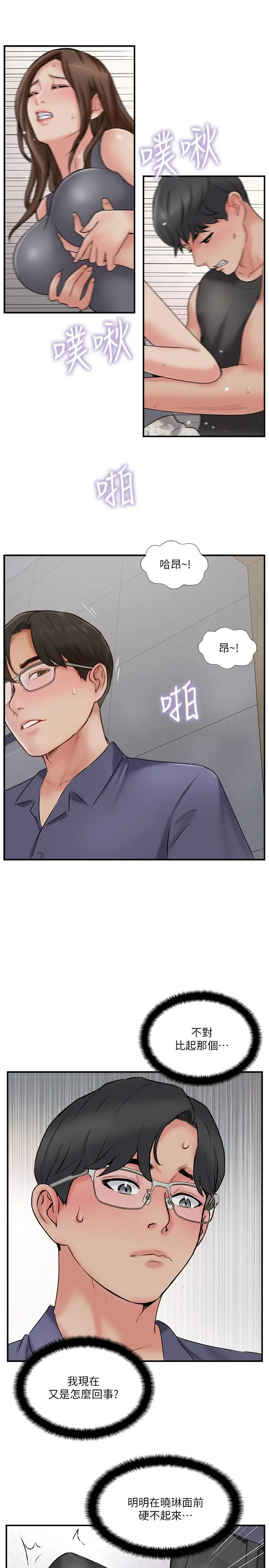 完美新伴侣