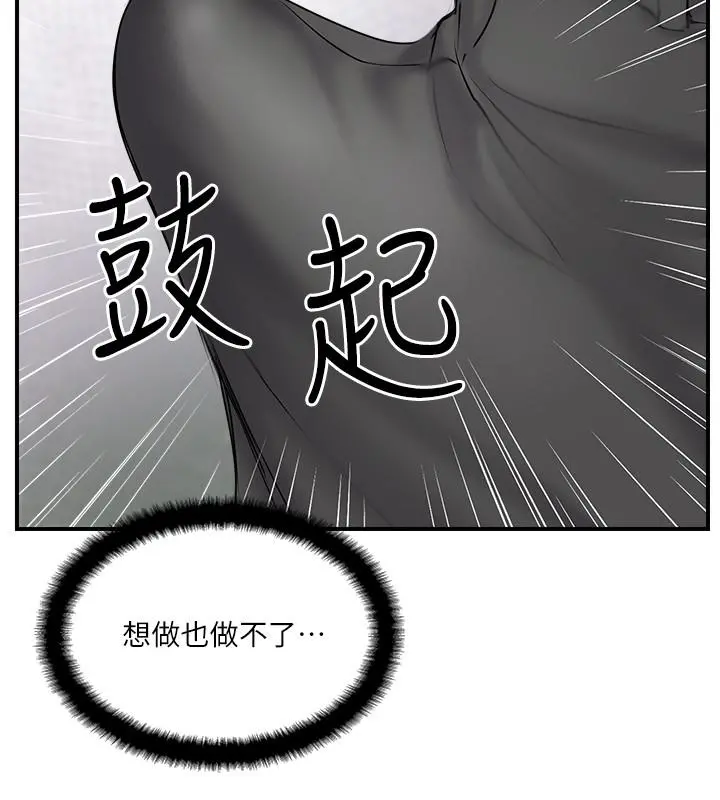 完美新伴侣