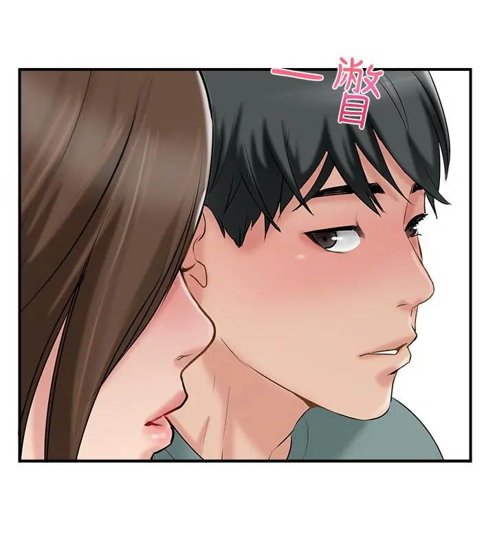 完美新伴侣