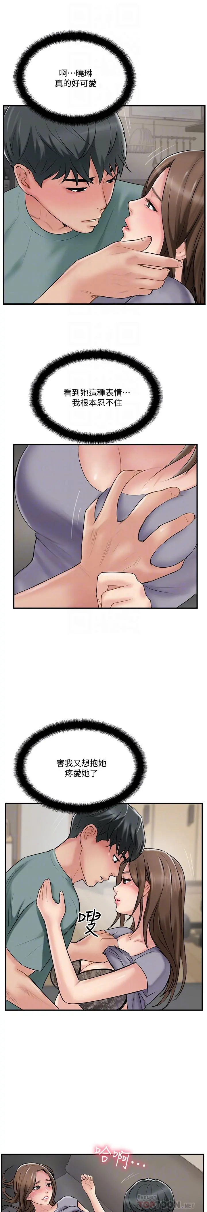 完美新伴侣