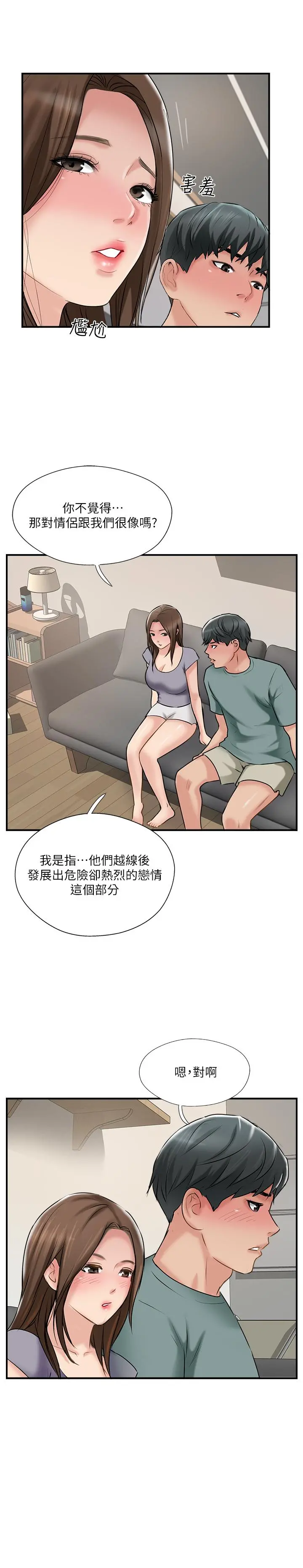 完美新伴侣
