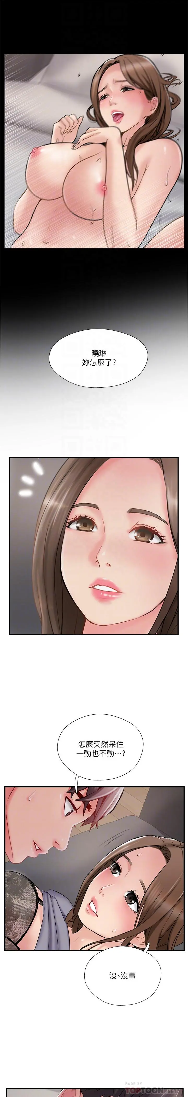 完美新伴侣