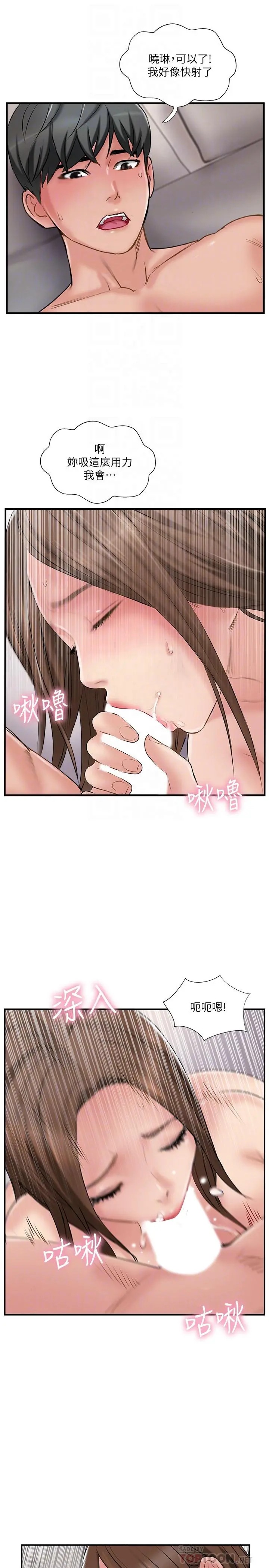 完美新伴侣