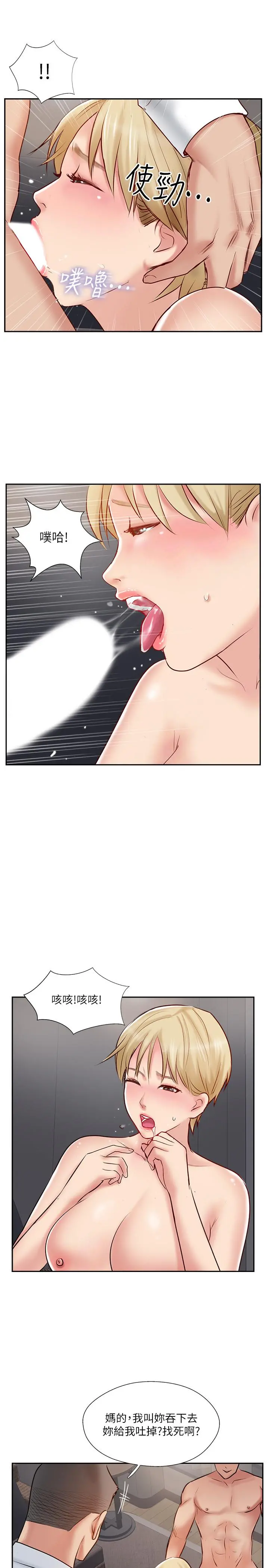 完美新伴侣