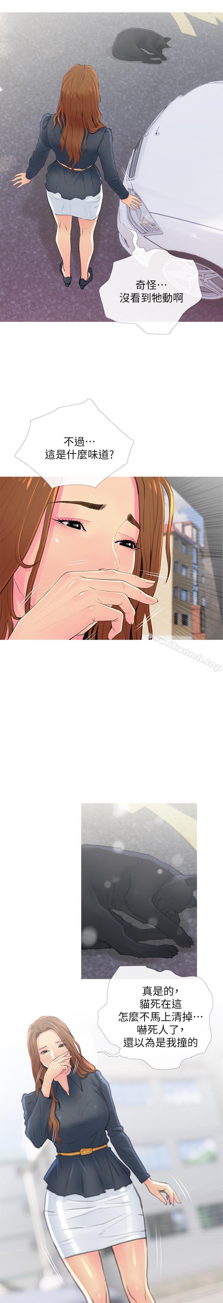 41.jpg