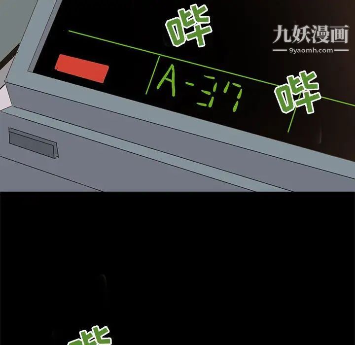 146.jpg