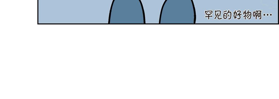 211.jpg