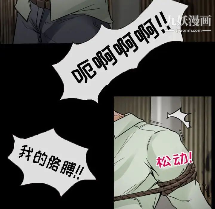41.jpg