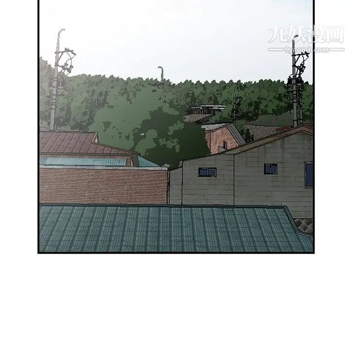 95.jpg